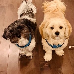 Meet your Posher, Arlene